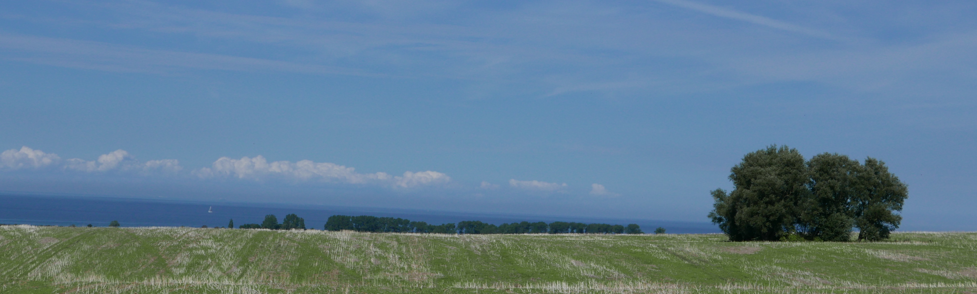 P2330273.JPG