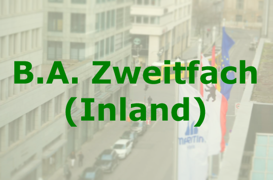 BA_Zweitfach_Inland.PNG