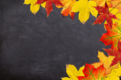 autumn-1657662_1920.png